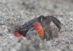 19.02.2014 Mida Creek