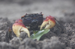 19.02.2014 Mida Creek