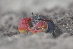 Mida Creek, Kenya (19 February 2014).