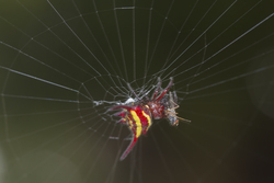 Mida Creek, Kenya (19 February 2014).