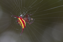 19.02.2014 Mida Creek