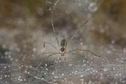 Mida Creek, Kenya (19 February 2014).