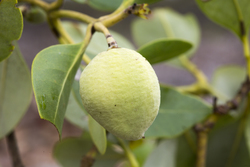 19.02.2014 Mida Creek