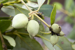 Mida Creek, Kenya (19 February 2014).