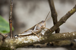 Mida Creek, Kenya (19 February 2014).