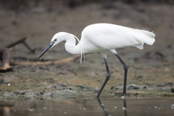 19.02.2014 Mida Creek