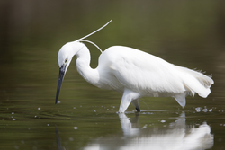 19.02.2014 Mida Creek