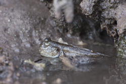 19.02.2014 Mida Creek