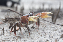 20.02.2014 Mida Creek