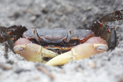 Mida Creek, Kenya (20 February 2014).