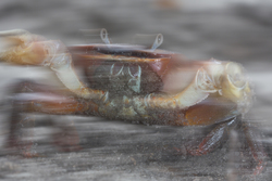 Mida Creek, Kenya (20 February 2014).