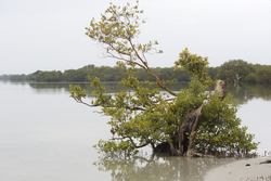 20.02.2014 Mida Creek