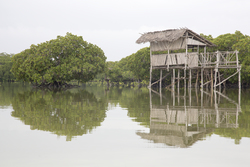 Mida Creek, Kenya (20 February 2014).