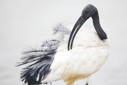 20.02.2014 Mida Creek