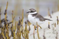 20.02.2014 Mida Creek