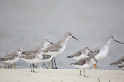 20.02.2014 Mida Creek