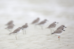 20.02.2014 Mida Creek