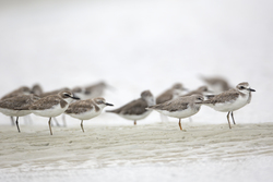 20.02.2014 Mida Creek