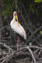 20.02.2014 Mida Creek