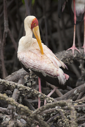 20.02.2014 Mida Creek