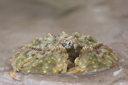 Mida Creek, Kenya (20 February 2014).