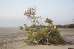 Mida Creek, Kenya (21 February 2014).