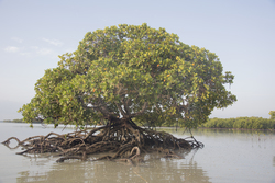 21.02.2014 Mida Creek