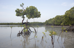 21.02.2014 Mida Creek