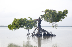 21.02.2014 Mida Creek