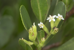 Mida Creek, Kenya (23 February 2014).