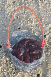 Mida Creek, Kenya (23 February 2014).