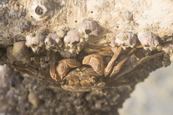 Mida Creek, Kenya (23 February 2014).