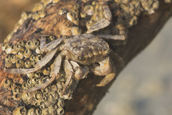 Mida Creek, Kenya (23 February 2014).