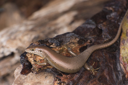 23.02.2014 Mida Creek