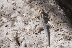 23.02.2014 Mida Creek