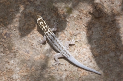 23.02.2014 Mida Creek