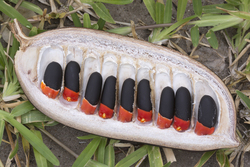 23.02.2014 Mida Creek