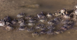 23.02.2014 Mida Creek