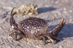 Mida Creek, Kenya (23 February 2014).