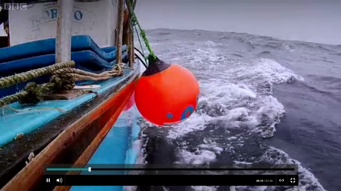 Fishing with a Cadgwith Skipper