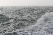 JPG file