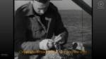 Cockle fishing at Leigh-on-sea (1949)