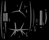 Characella poecillastroides SEM images of spicules
