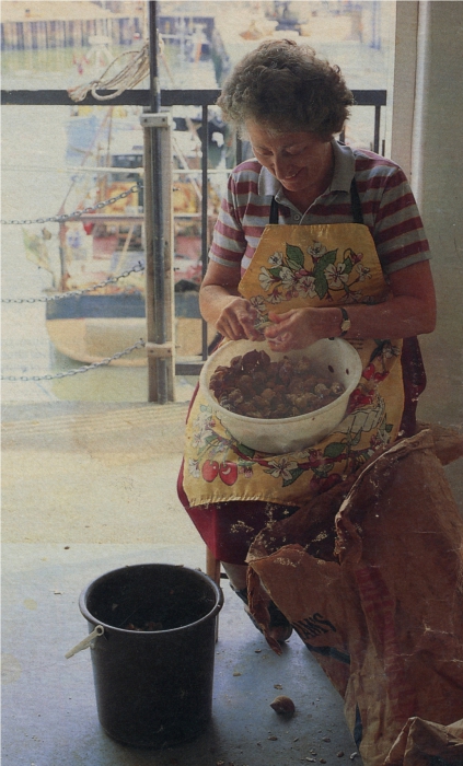 Taking the whelks out of the shells