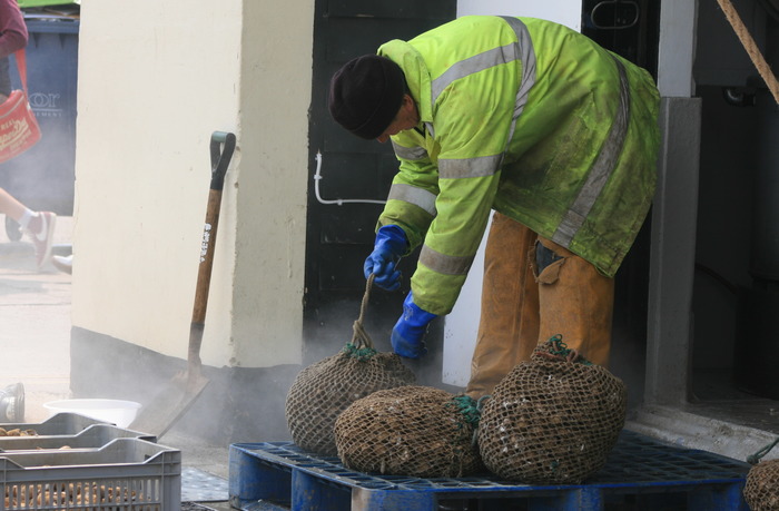West Whelks May 2013