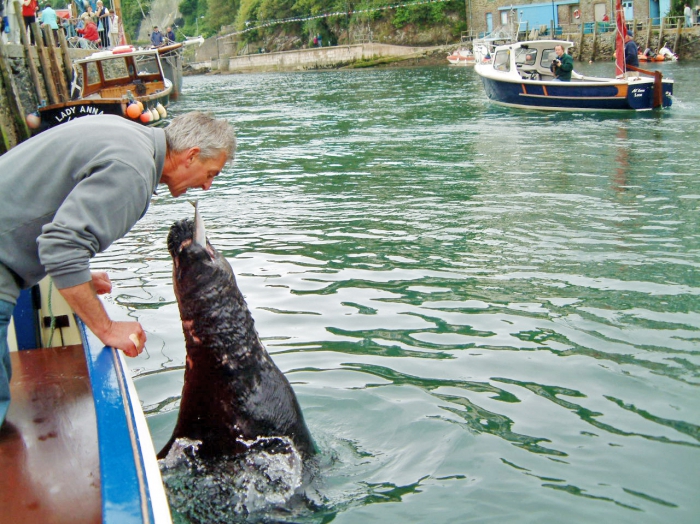 Local boatman and Nelson the seal