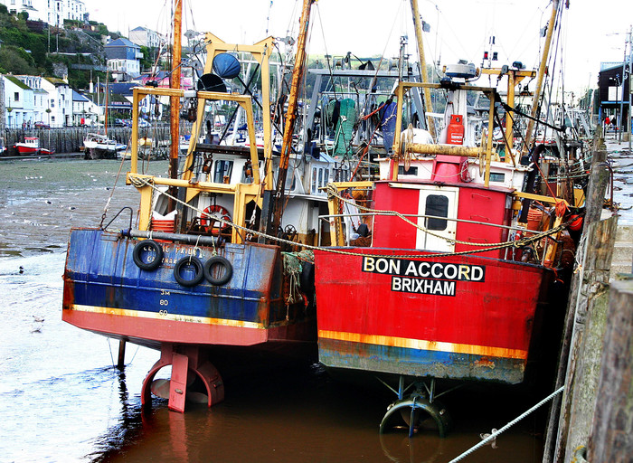 Waiting for the tide 