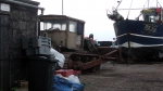 The first one shows the real life of the Hastings Beach Fleet behind the pretty scene
of the fishing huts. The Hastings fleet is hauled onto the beach and I think this photo
covers all aspects of the work in Hastings, the 'boys ashore' hut, the tractor for
hauling the boat up and one of the boats.