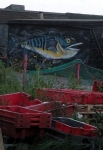 The second one is a wall of one of the 'boys ashore' huts which was painted for the
Herring Fair last year. The Herring Fair went down well and many locals who rarely
go to the Old Town came down and tried some freshly prepared delicacies.