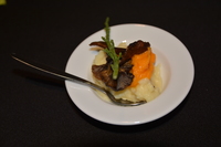 2014.11.21 Vlaams Auacultuur symposium 2014